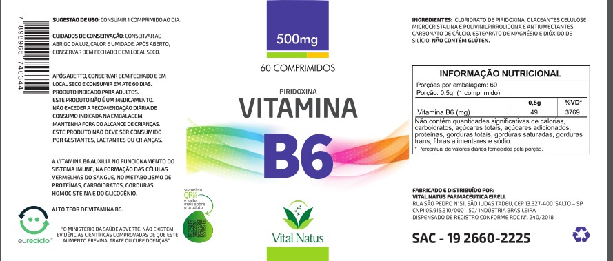 VITAMINA B6 500mg C/ 60 COMPRIMIDOS