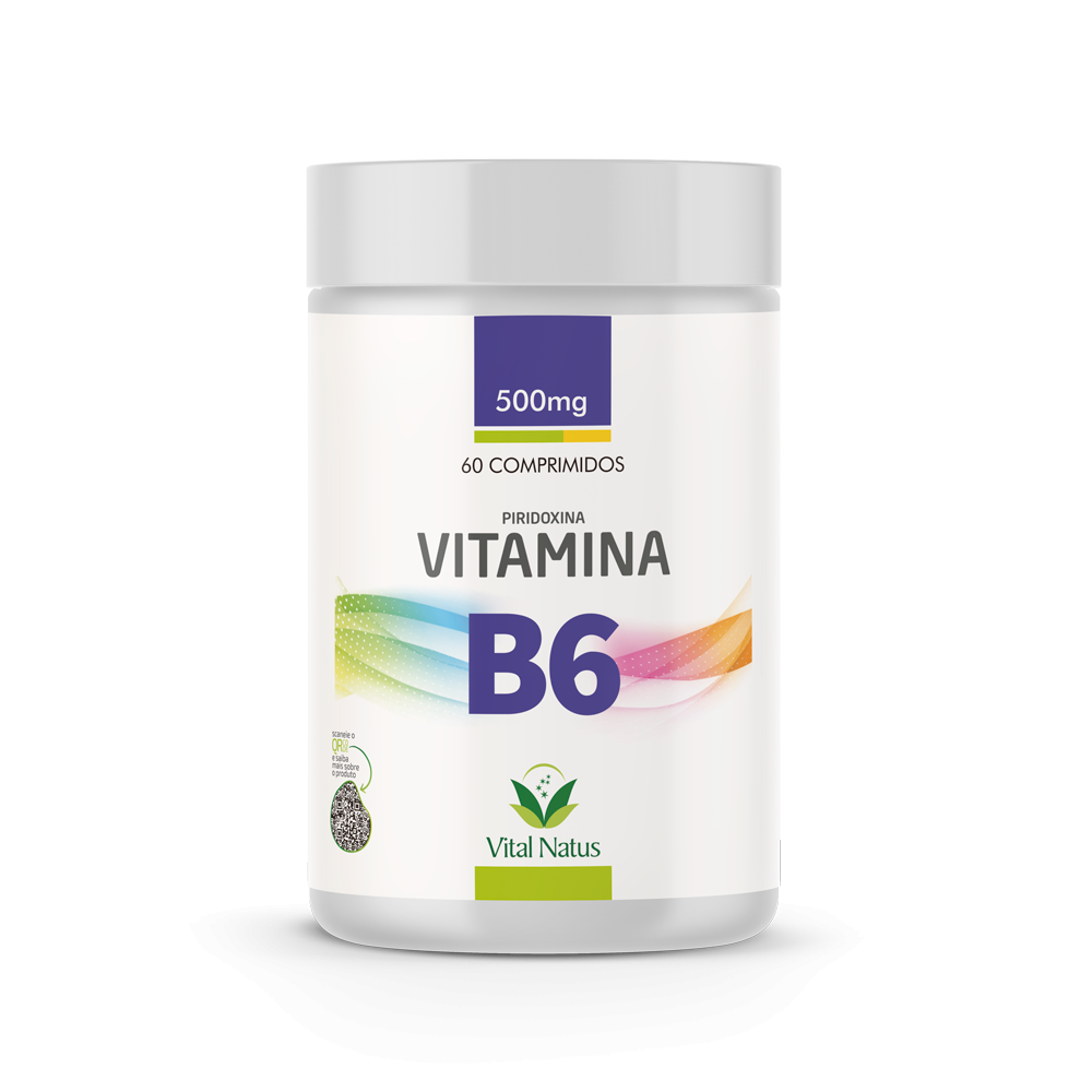 VITAMINA B6 500mg C/ 60 COMPRIMIDOS